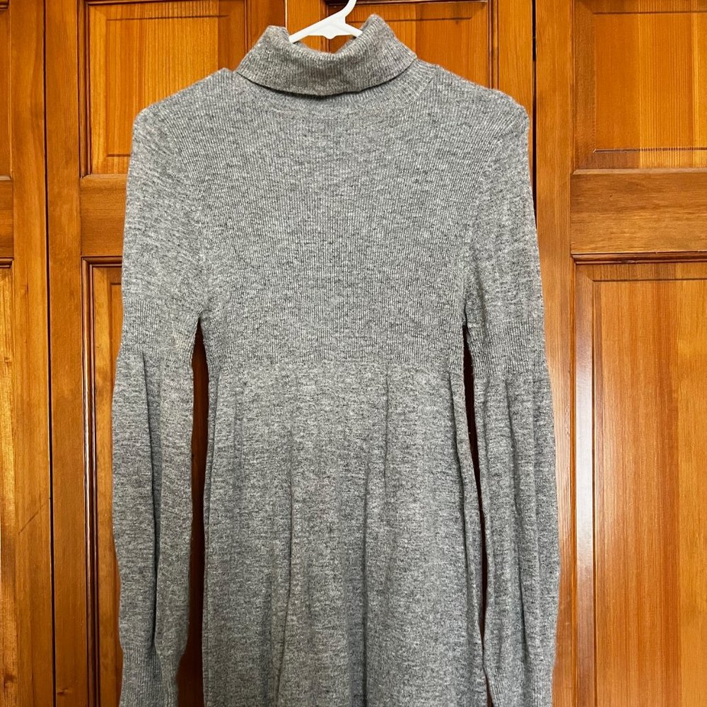 Theme Turtleneck Sweater Dress | Small